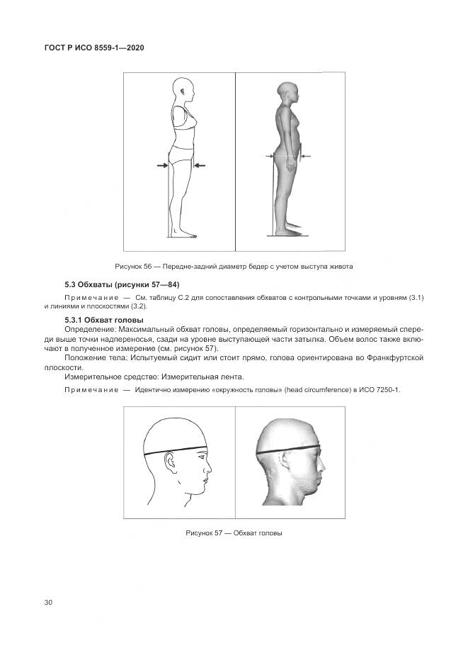 ГОСТ Р ИСО 8559-1-2020, страница 36
