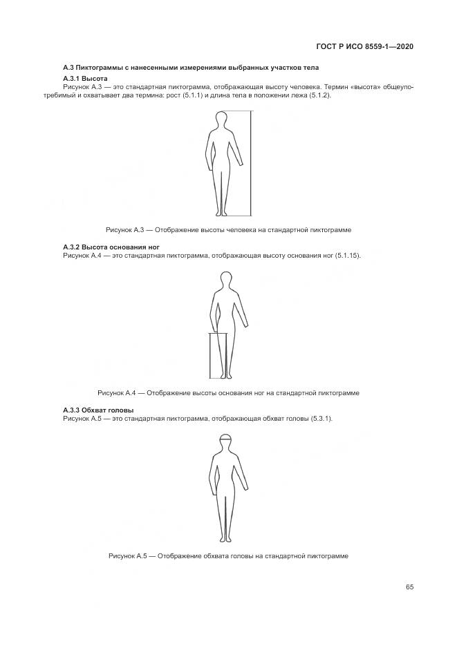 ГОСТ Р ИСО 8559-1-2020, страница 71